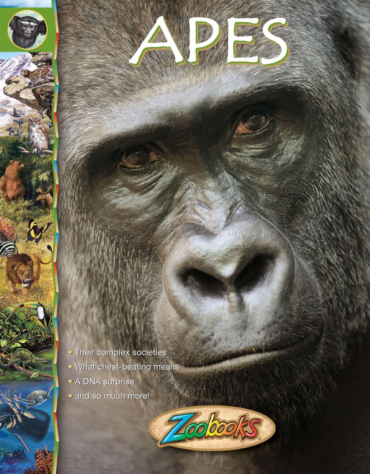 Zoobooks