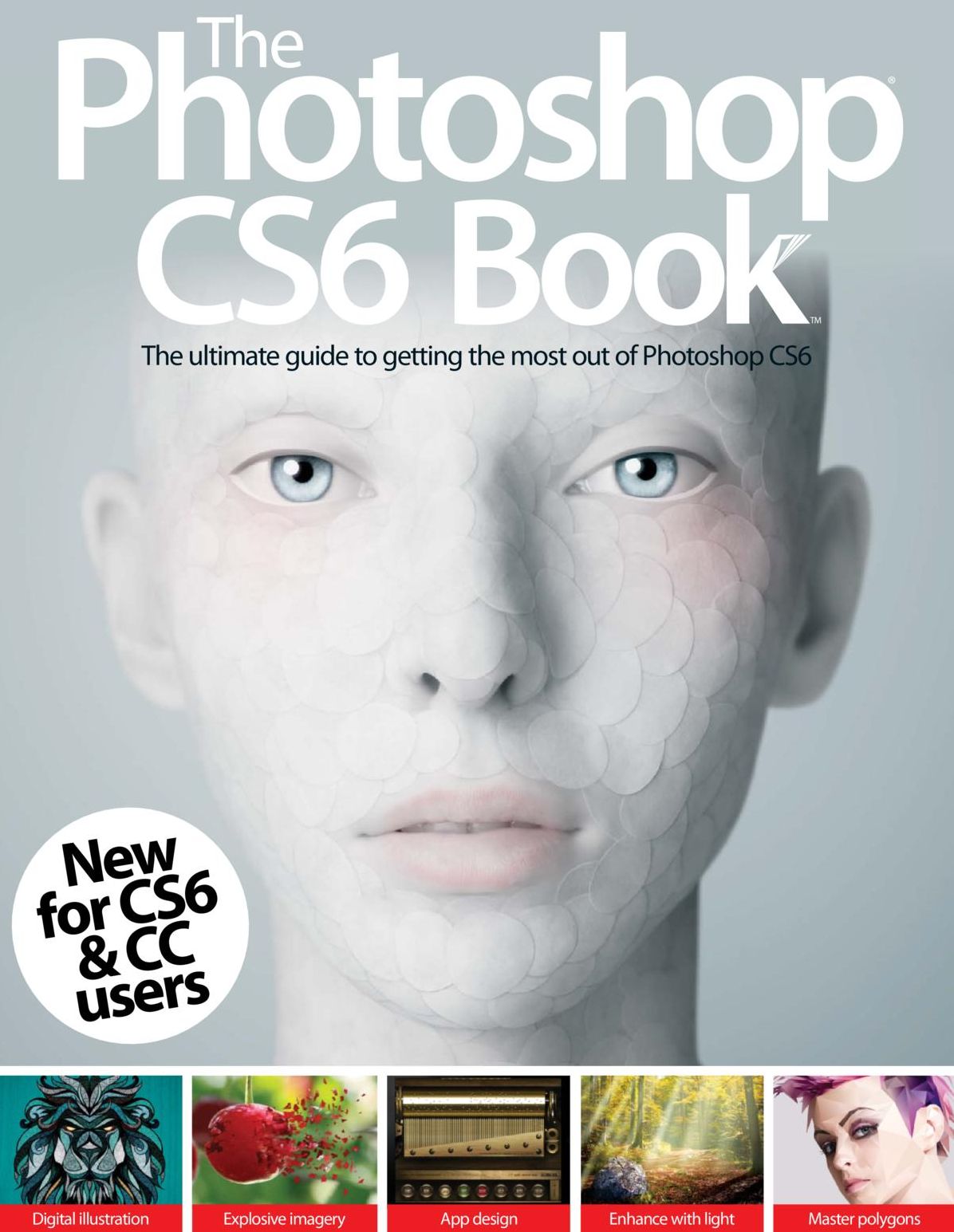 The Photoshop CS6 Book