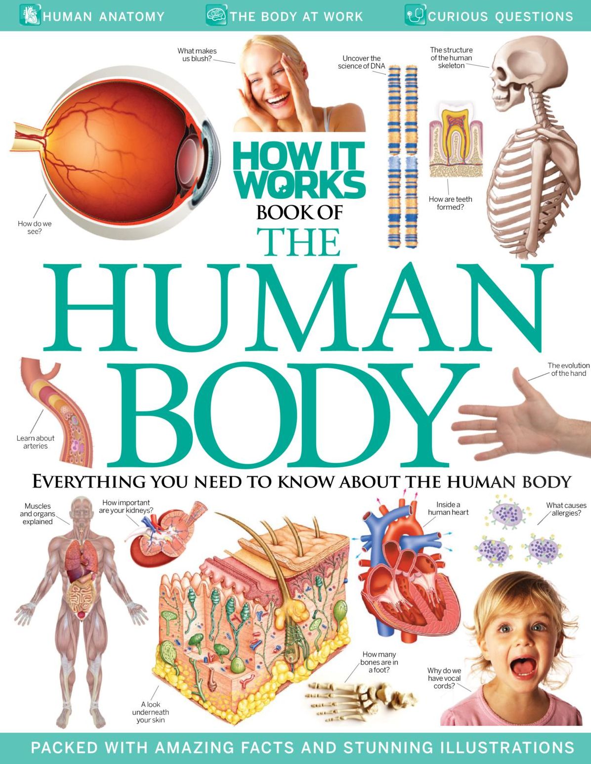 How It Works: Book of The Human Body