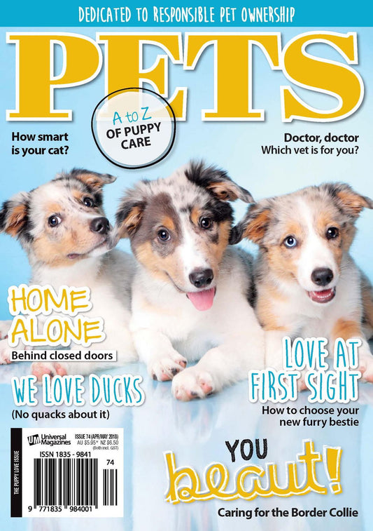 Pets