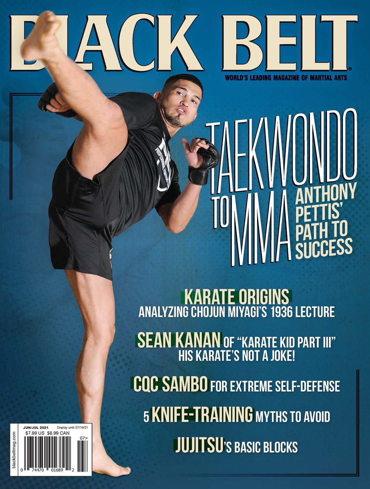 Black Belt - annual subscription