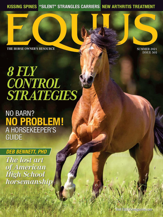 Equus - annual subscription