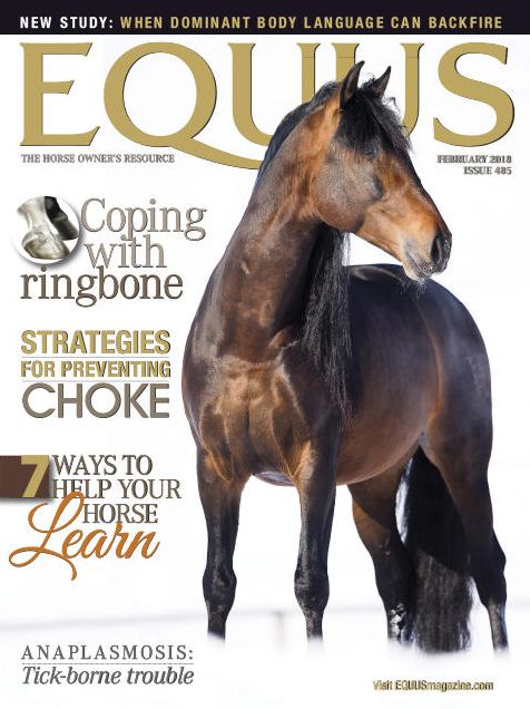 Equus - annual subscription
