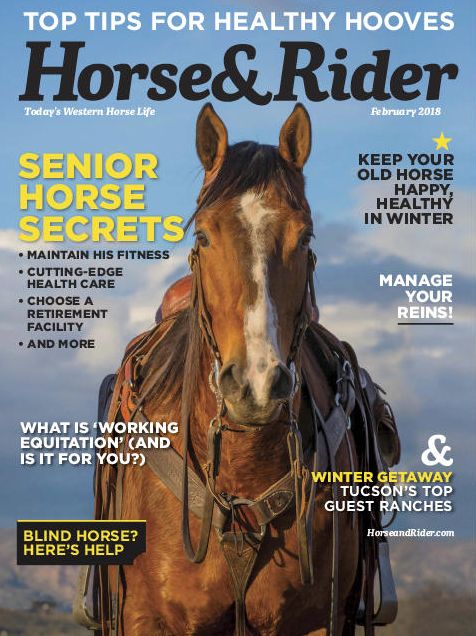 Horse & Rider - annual subscription