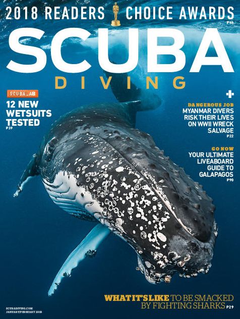 Scuba Diving - annual subscription