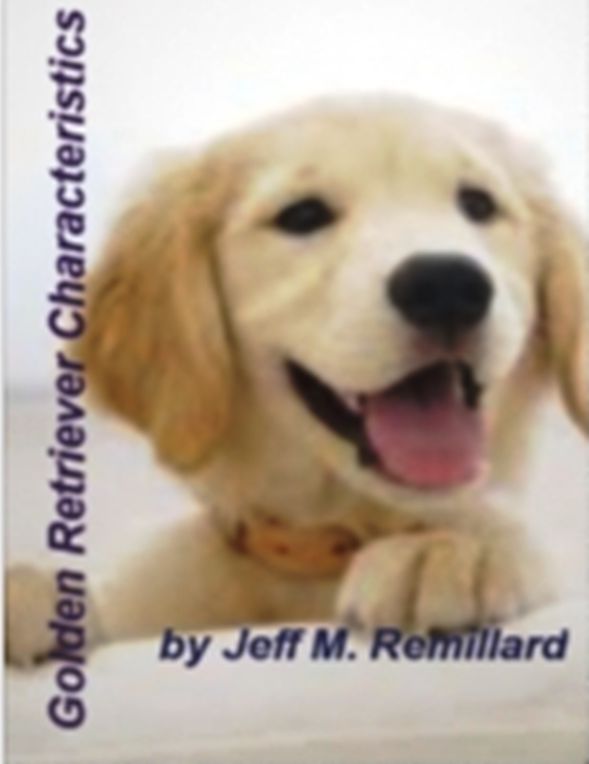 Golden Retriever Characteristics: If You’re Looking For A Great eBook On Golden Retriever, Older Golden Retriever, Adopting, Bedding, Breeding, Characteristics, Buying and Much More!