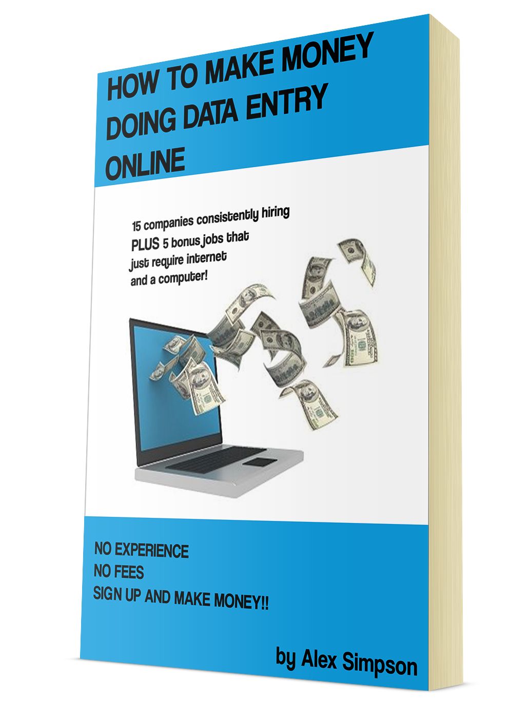 Making Money Online Doing Data Entry