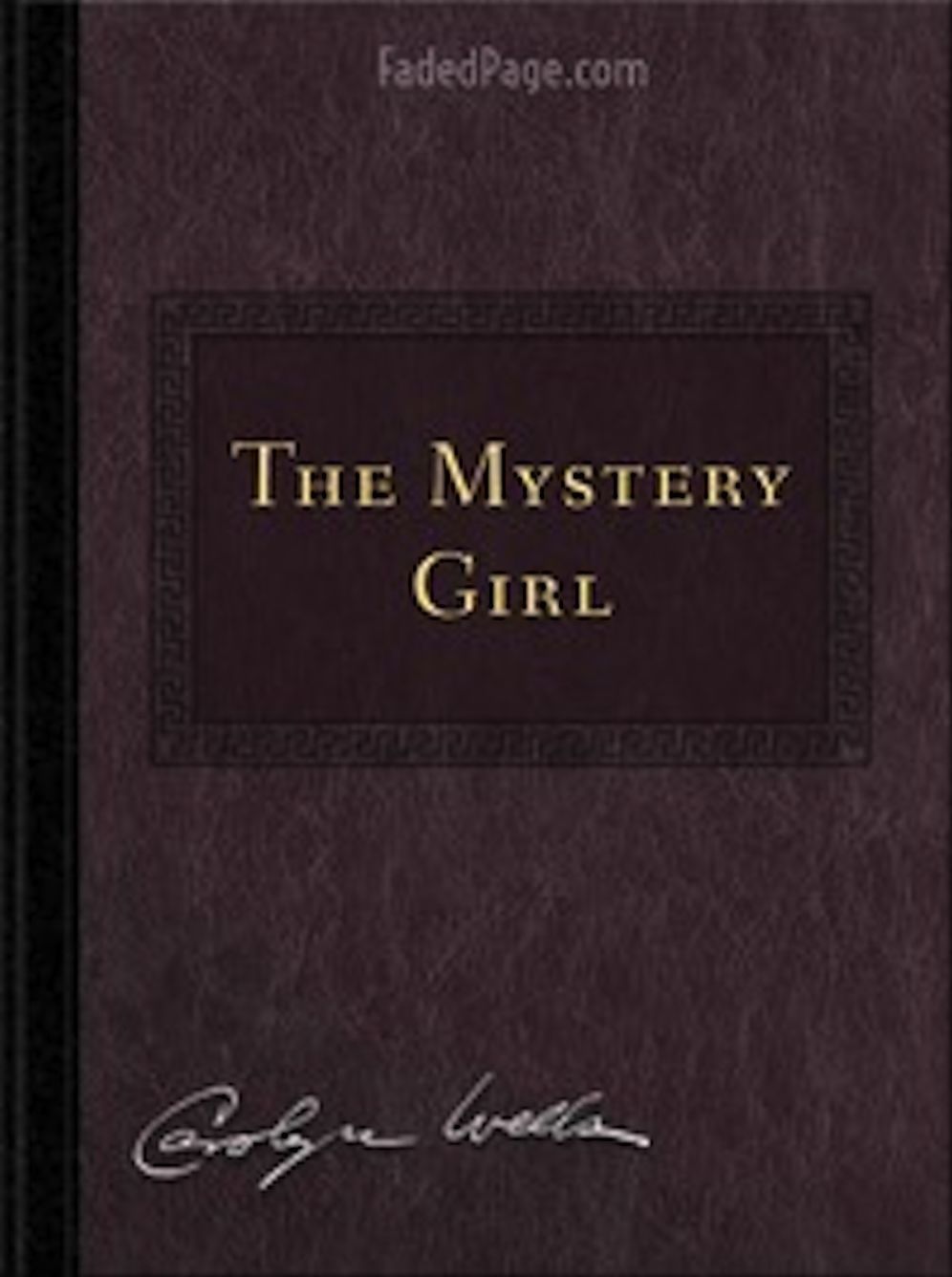 The Mystery Girl (Illustrated)