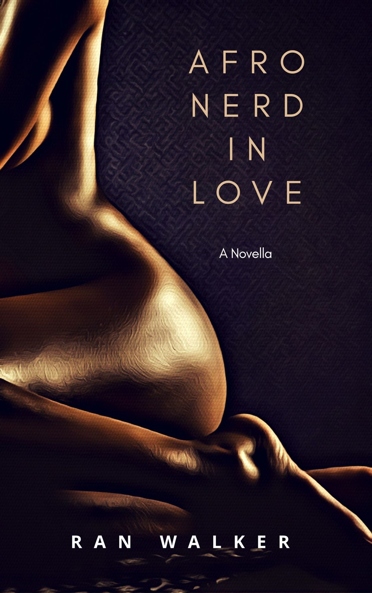 Afro Nerd in Love: A Novella