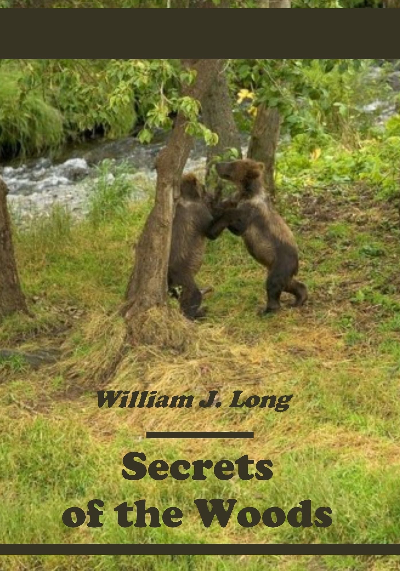 Secrets of the Woods (Illustrated)