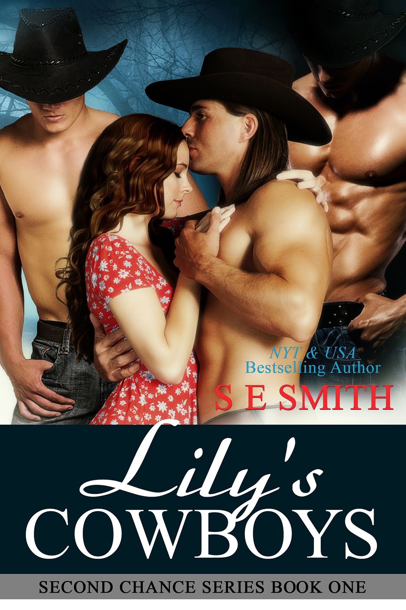 Lily's Cowboys: Second Chance Book 1
