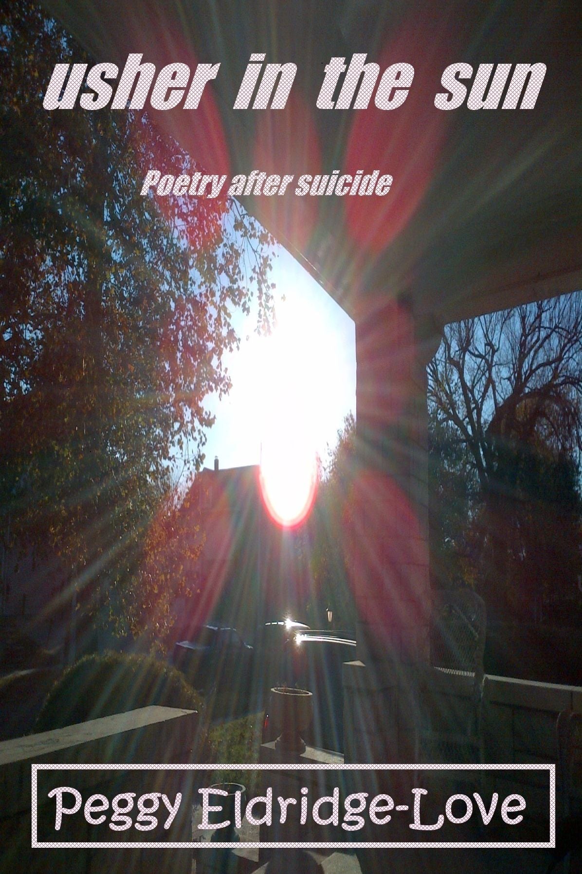 Usher In The Sun, Poetry After Suicide