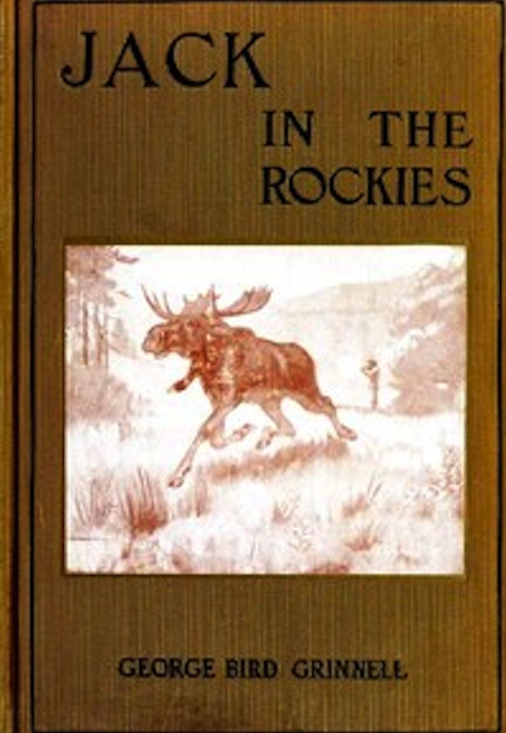 Jack in the Rockies (Illustrated)