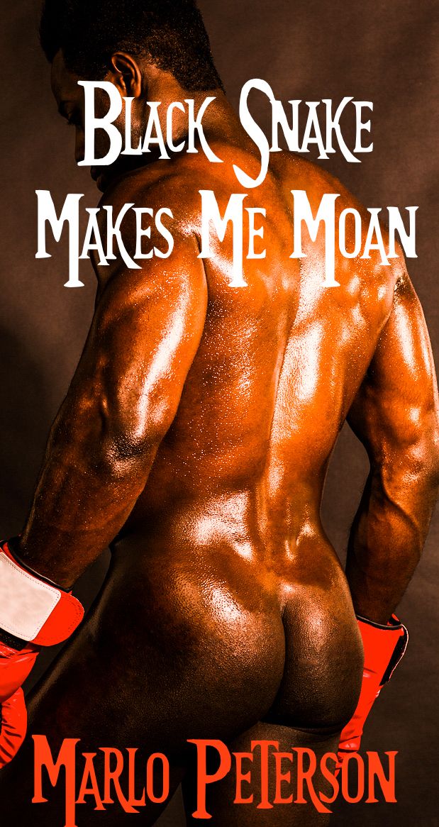 Black Snake Makes Me Moan [Sexy Interracial Cheating Breeding Erotica/Cuckold WW/BM Erotic Romance]