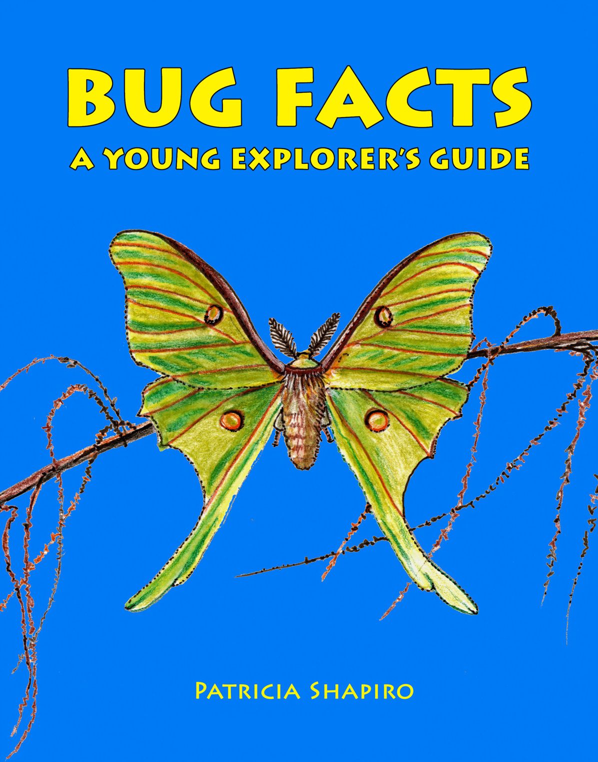 BUG FACTS A Young Explorer's Guide