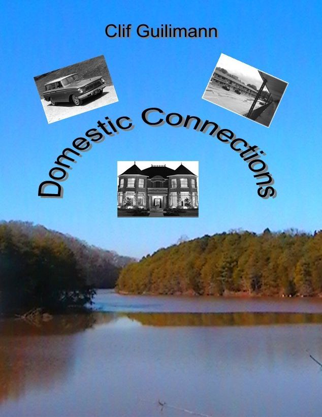 Domestic Connections