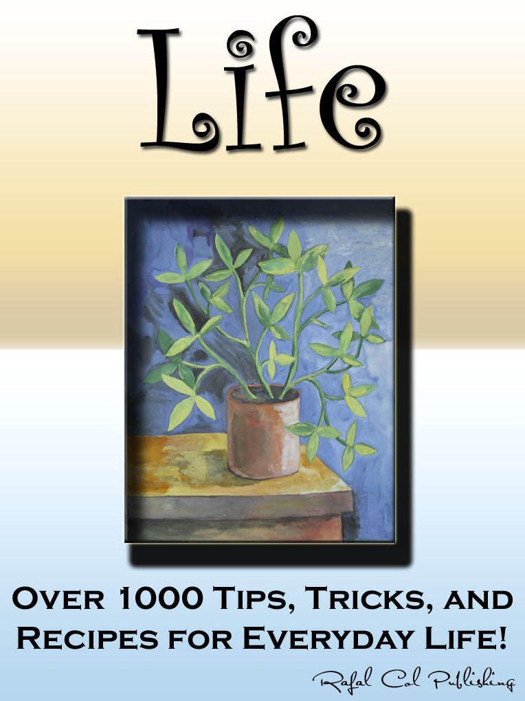 Life Tips (Over 1000 Tips, Tricks, and Recipes for Everyday Life!)