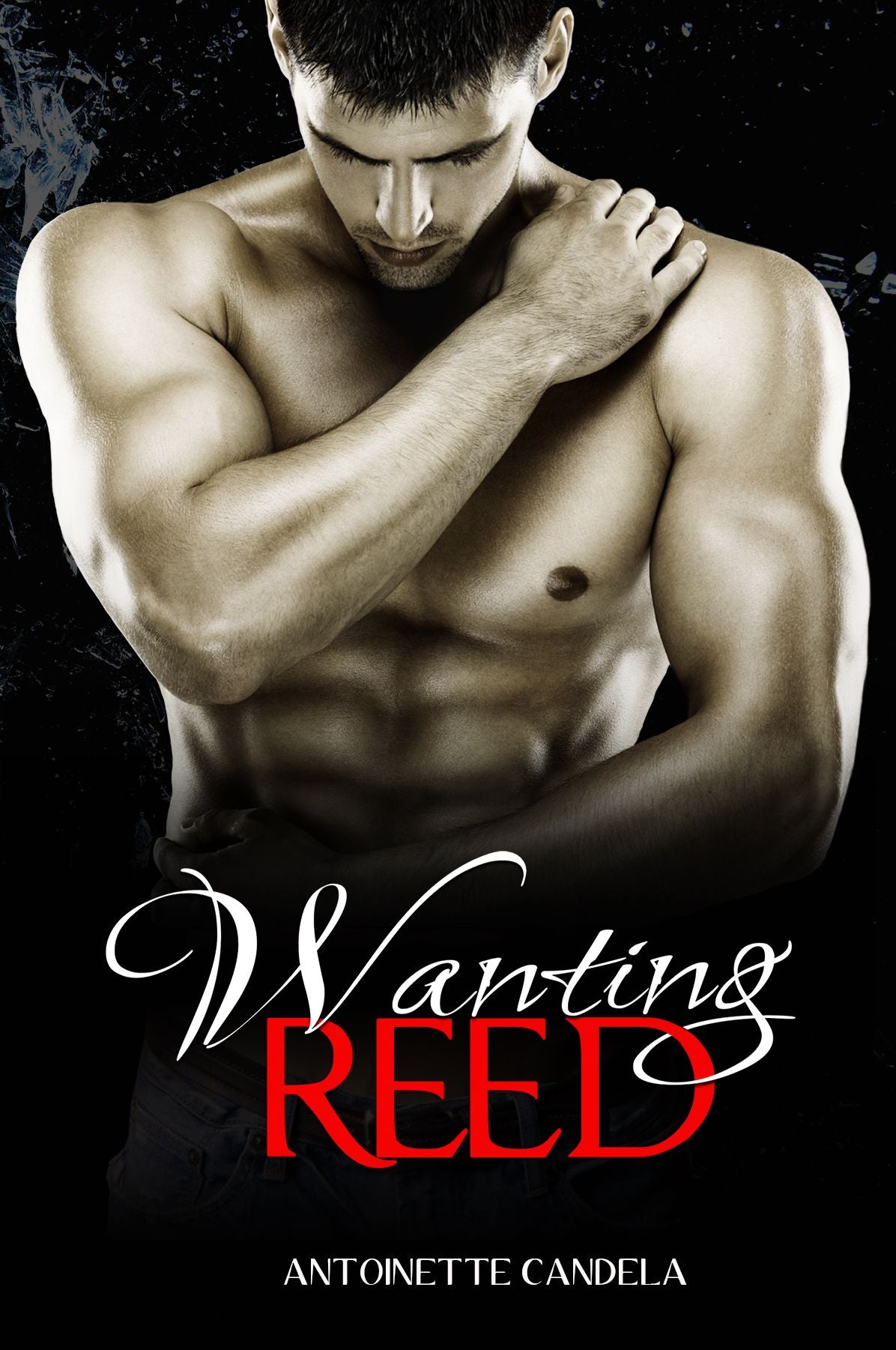 Wanting Reed (Break Me #2)