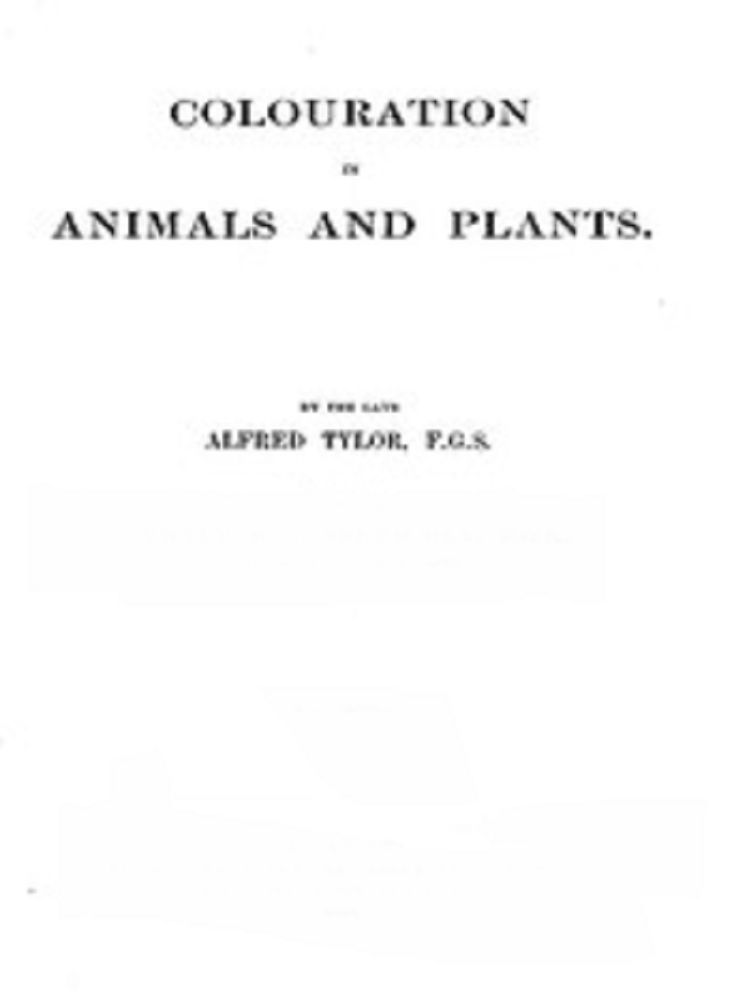 Colouration in Animals and Plants (Illustrated)