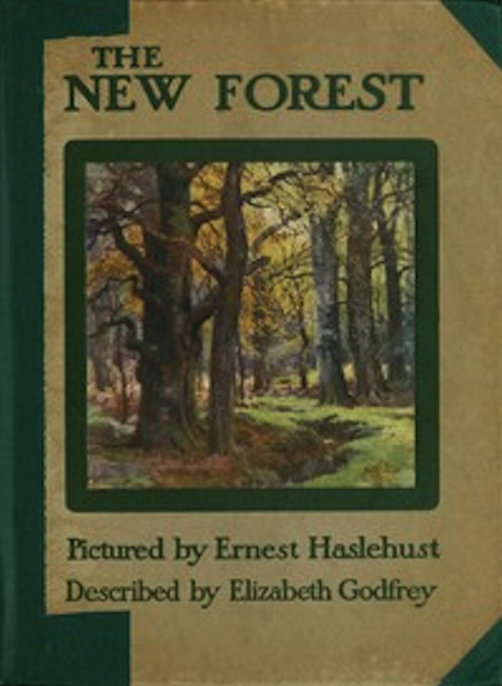 The New Forest (Illustrated)