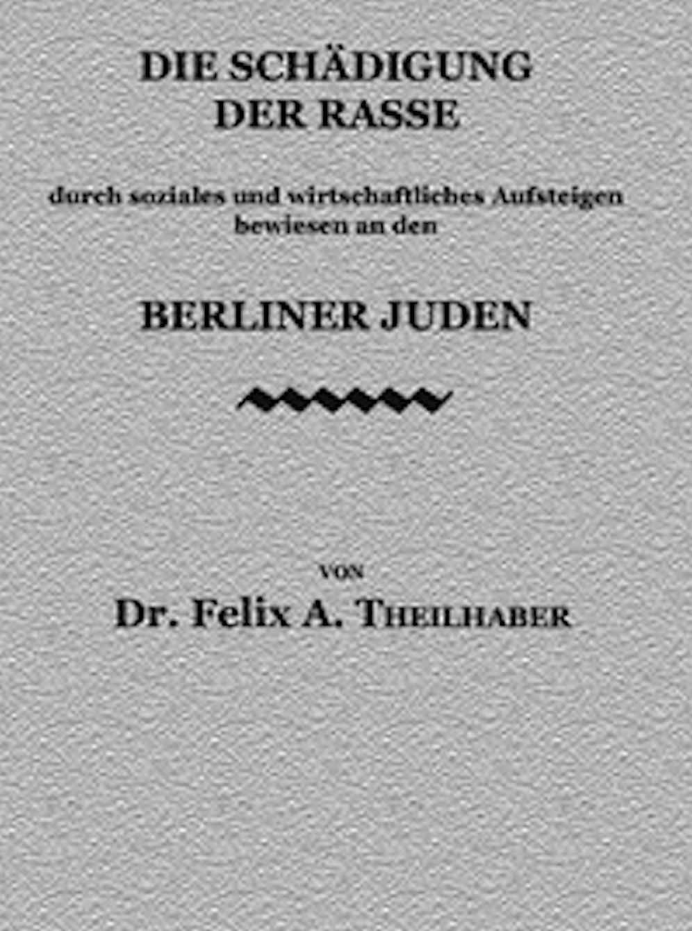 Die Sch&auml;digung der Rasse (Illustrated)