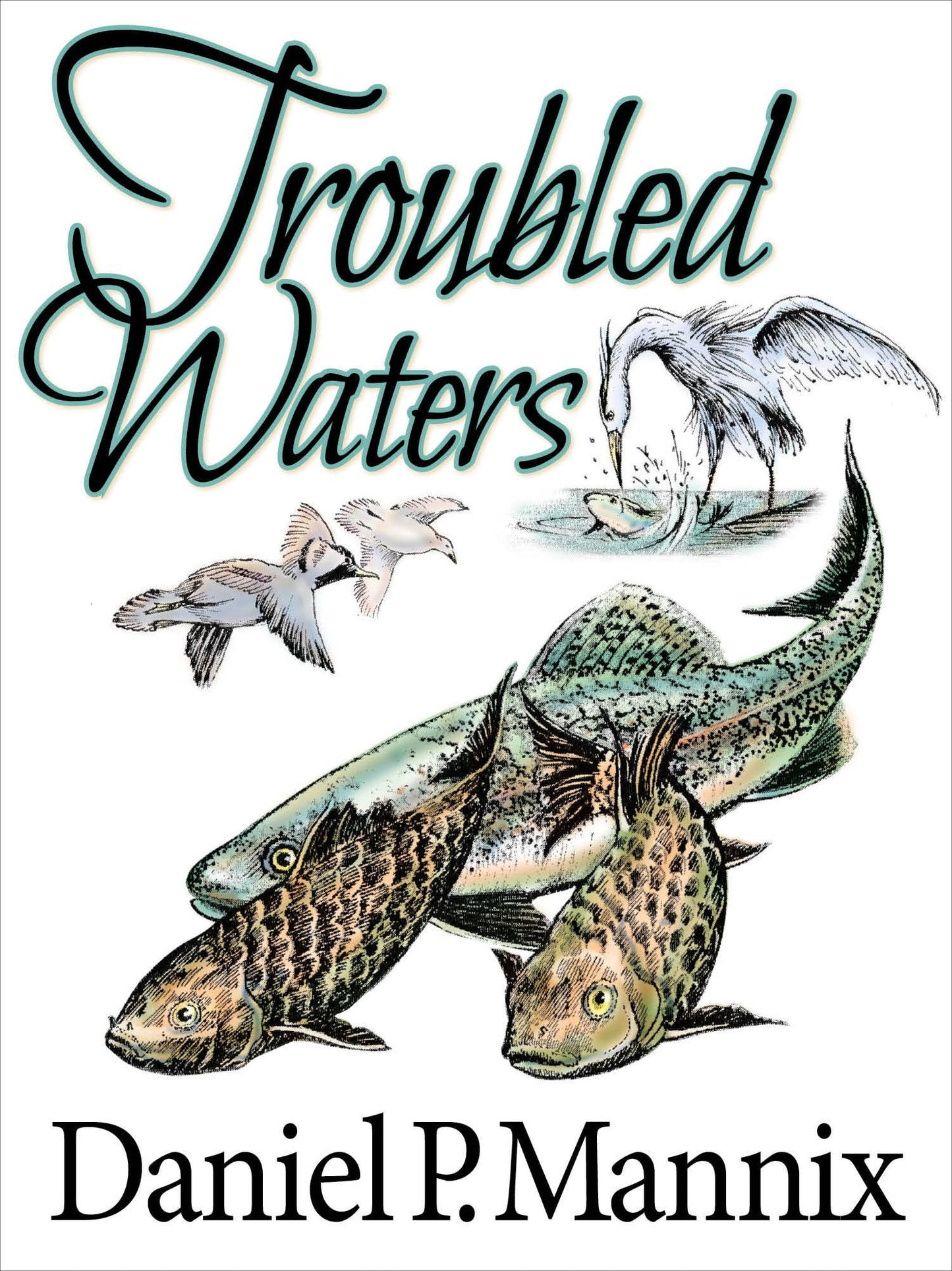 Troubled Waters