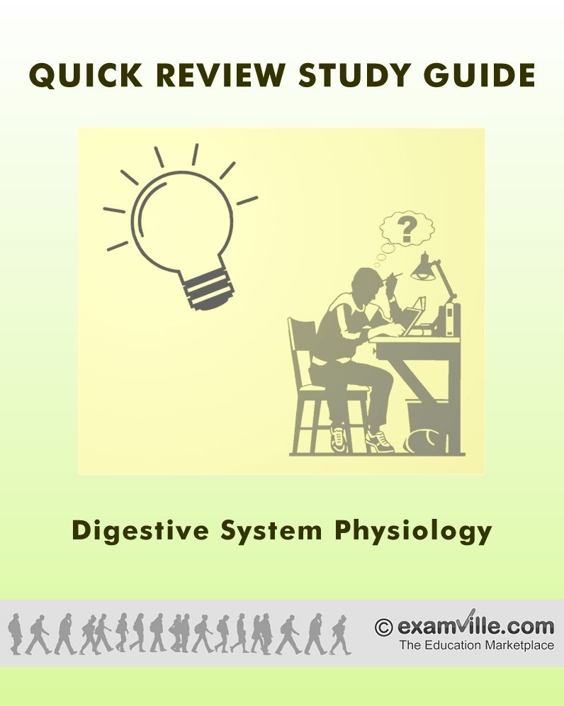 Quick Physiology Review: Human Digestive System