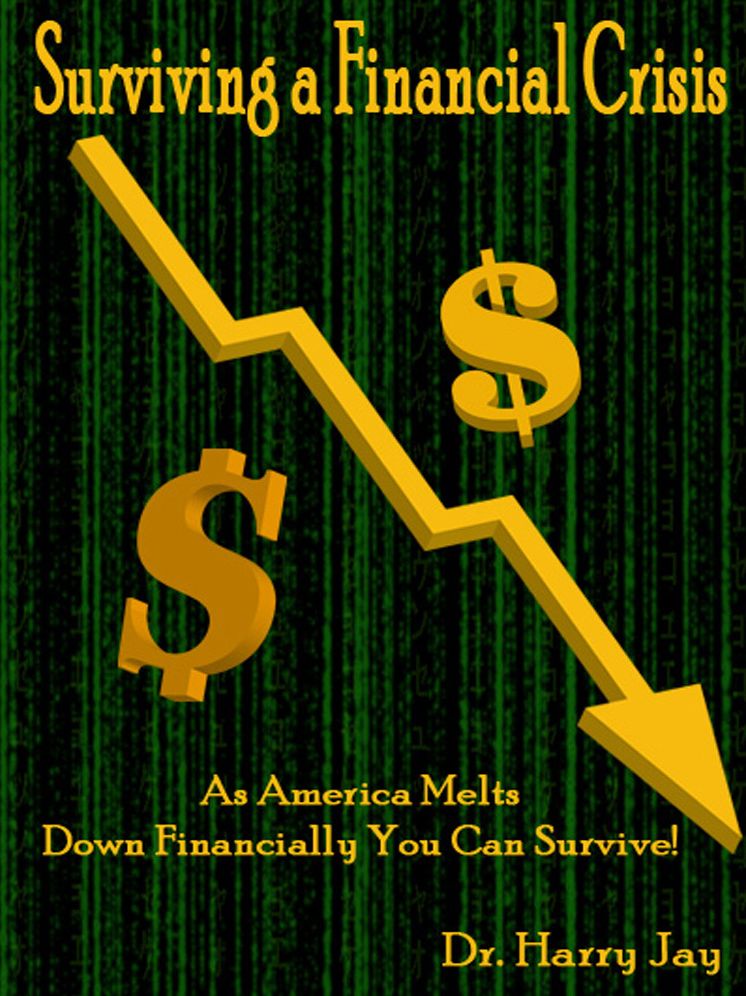 Surviving a Financial Crisis