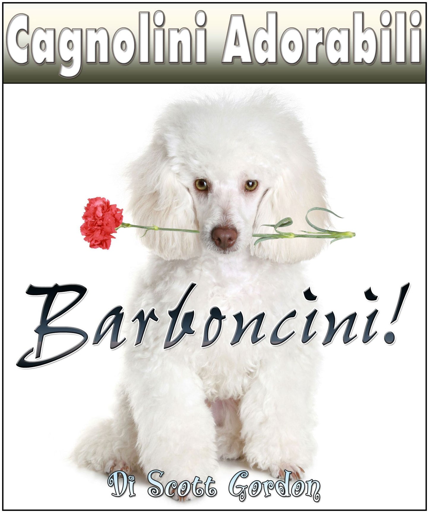 Cagnolini Adorabili: I Barboncini