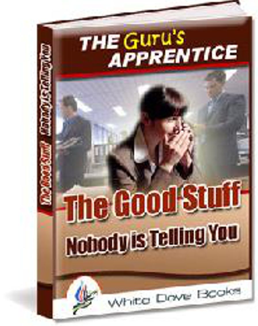 The Guru's Apprentice: The Good Stuff Nobody is Telling You