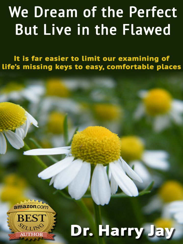We Dream of the Perfect But Live in the Flawed