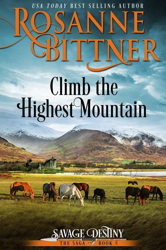 Climb the Highest Mountain