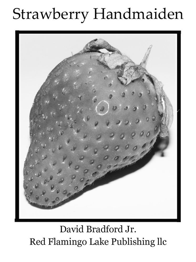 Strawberry Handmaiden