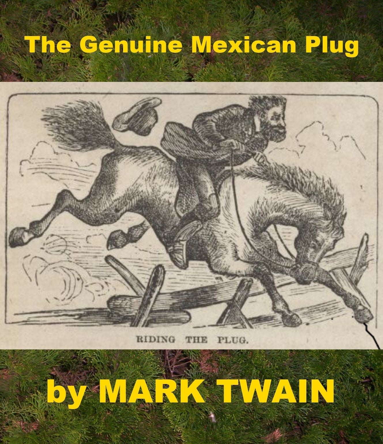 The Genuine Mexican Plug