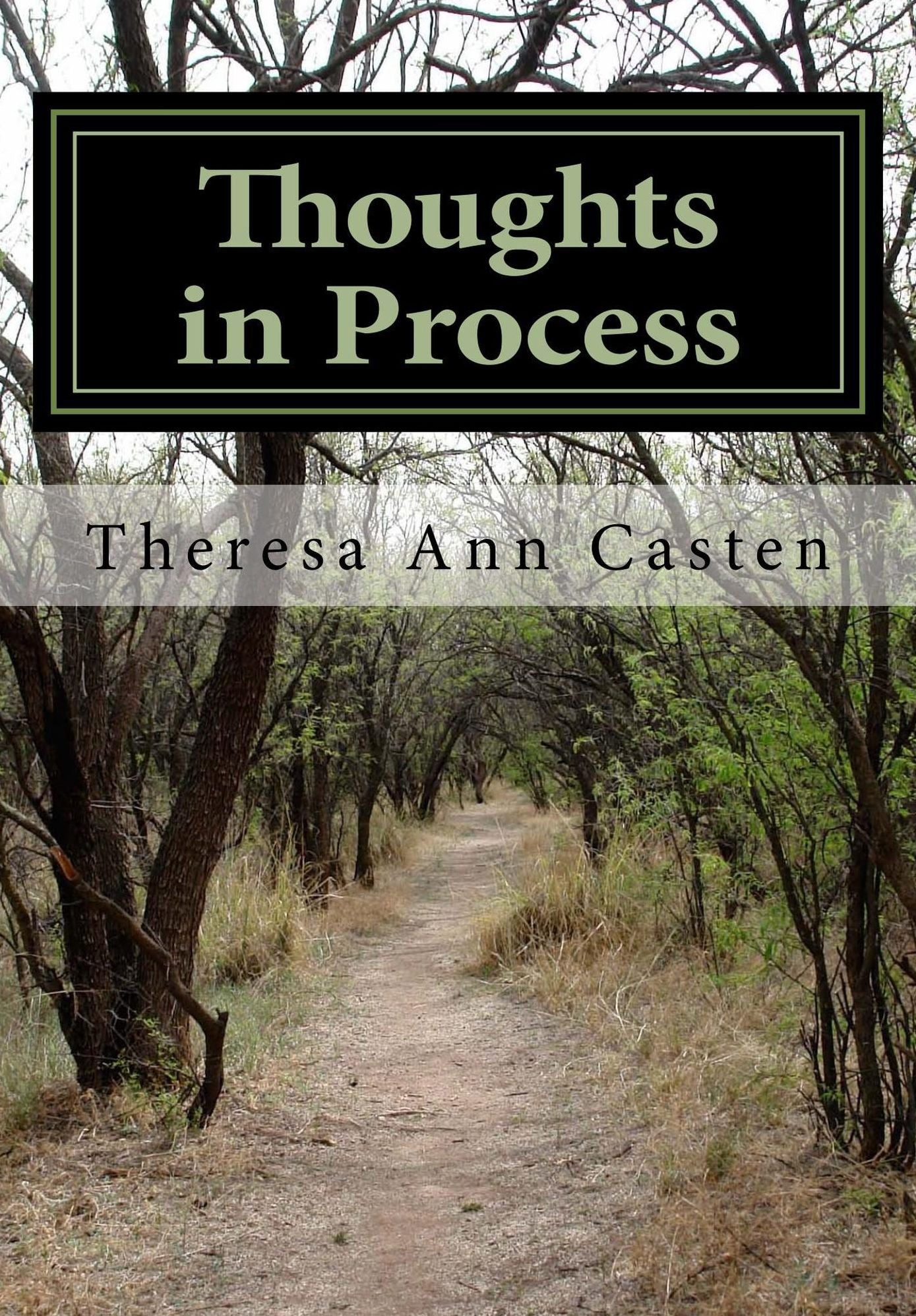 Thoughts In Process:The Lost Art: A Book of Poetry