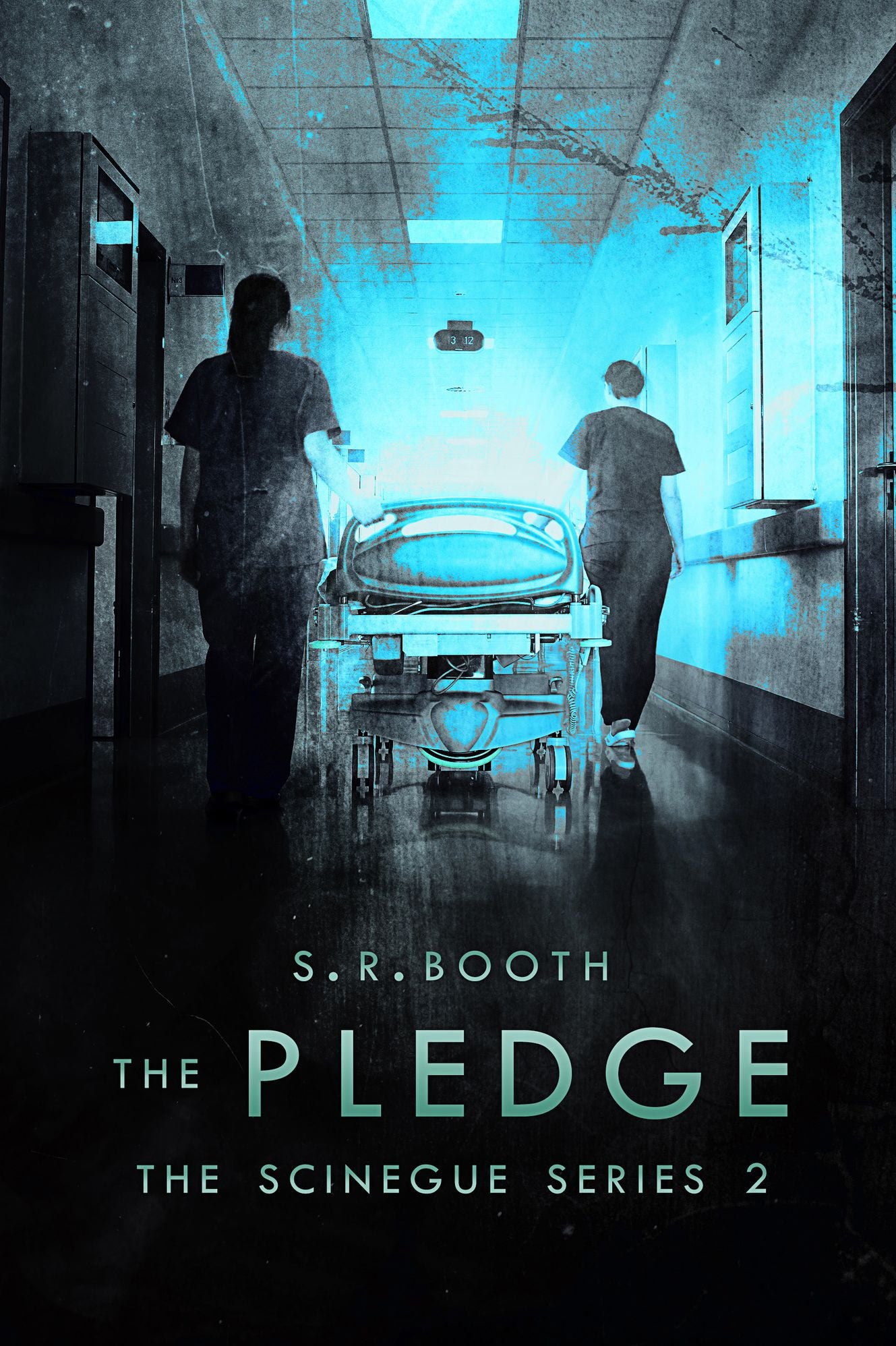 The Pledge