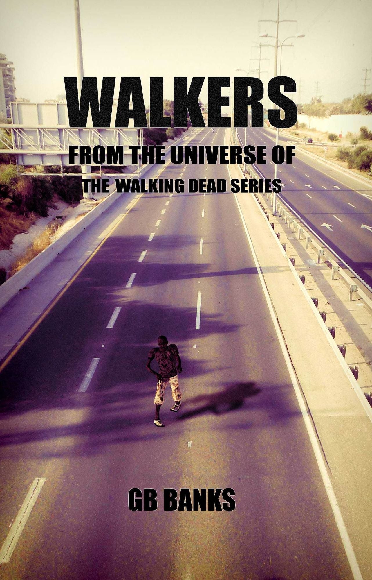 WALKERS: from the universe of THE WALKING DEAD Series - Episode 1 (from the author of Revolution Z)