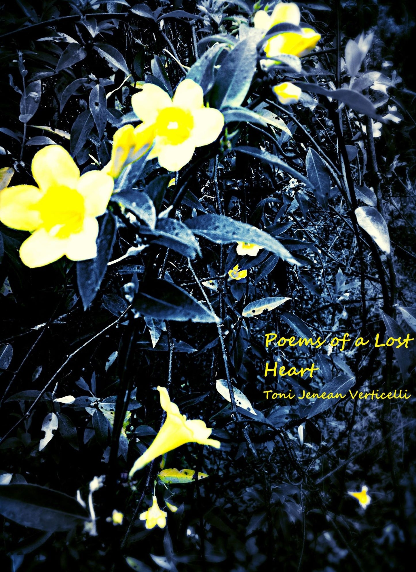 Poems of a Lost Heart