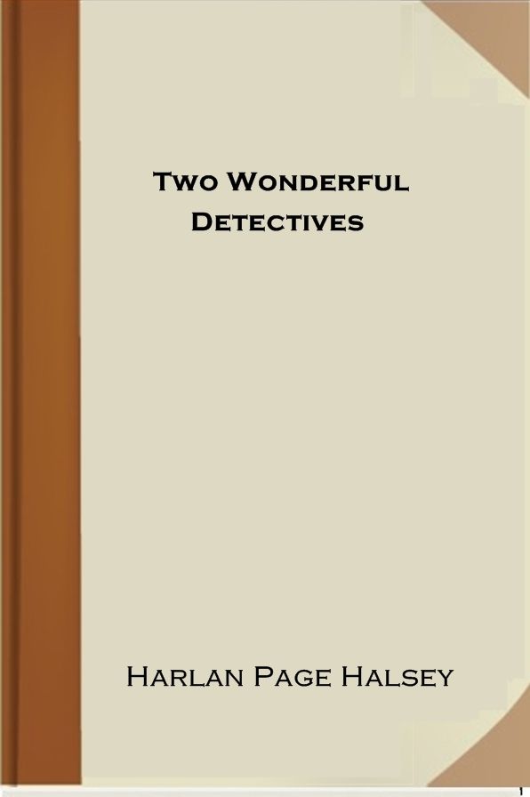 Two Wonderful Detectives