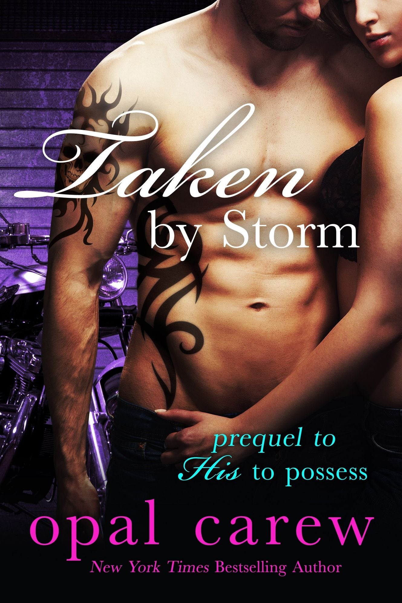 Taken By Storm