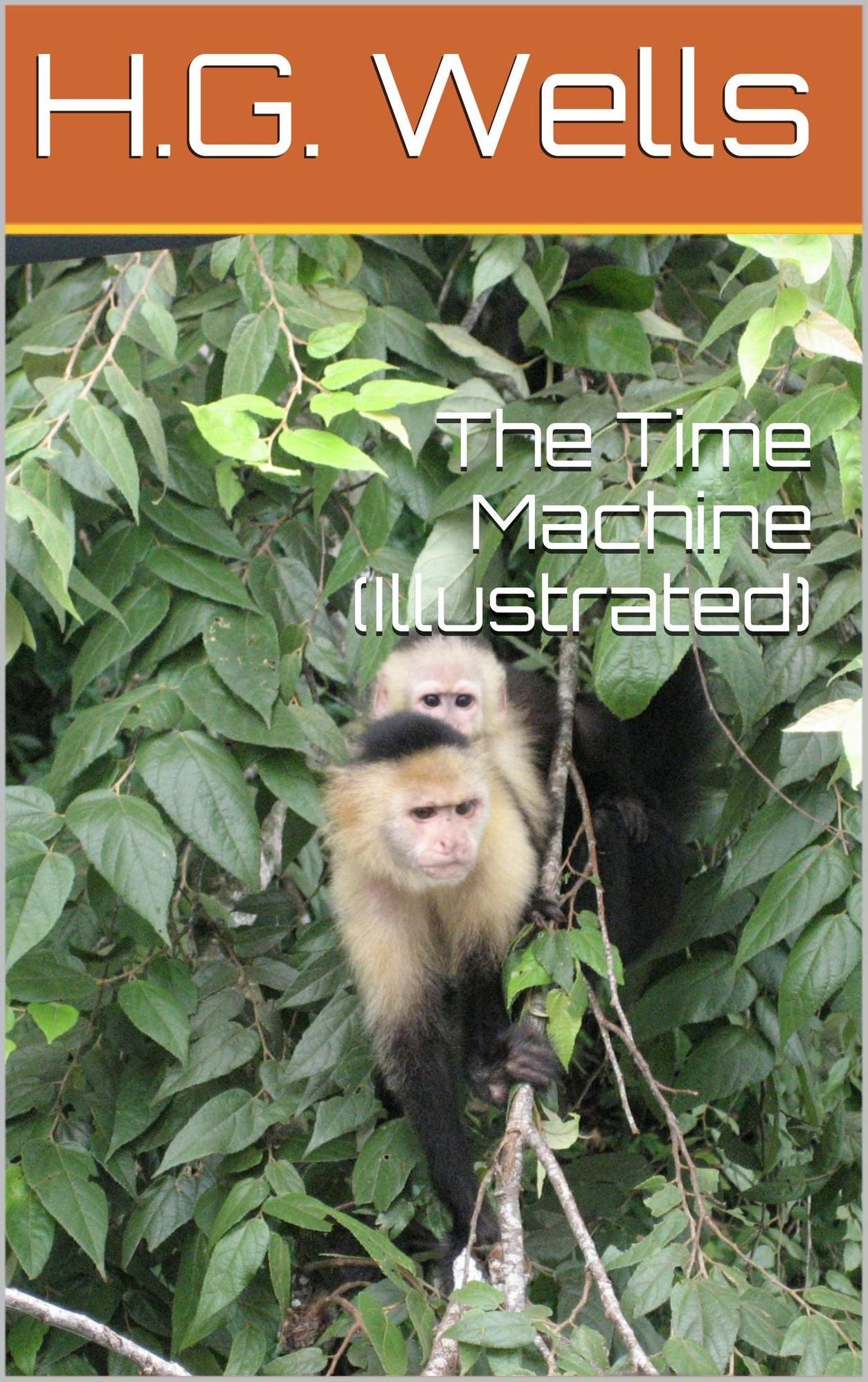 The Time Machine (Illustrated)