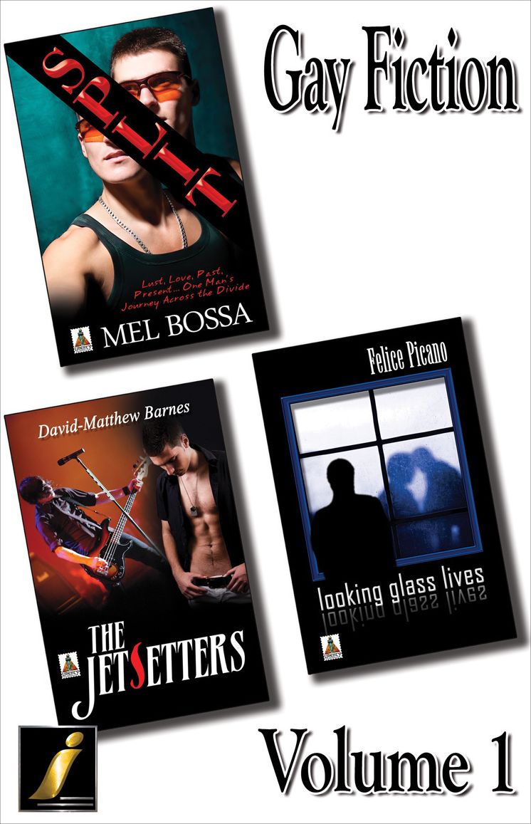 Gay Fiction Volume 1