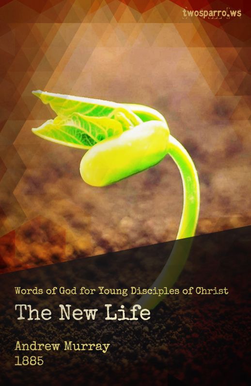 The New Life