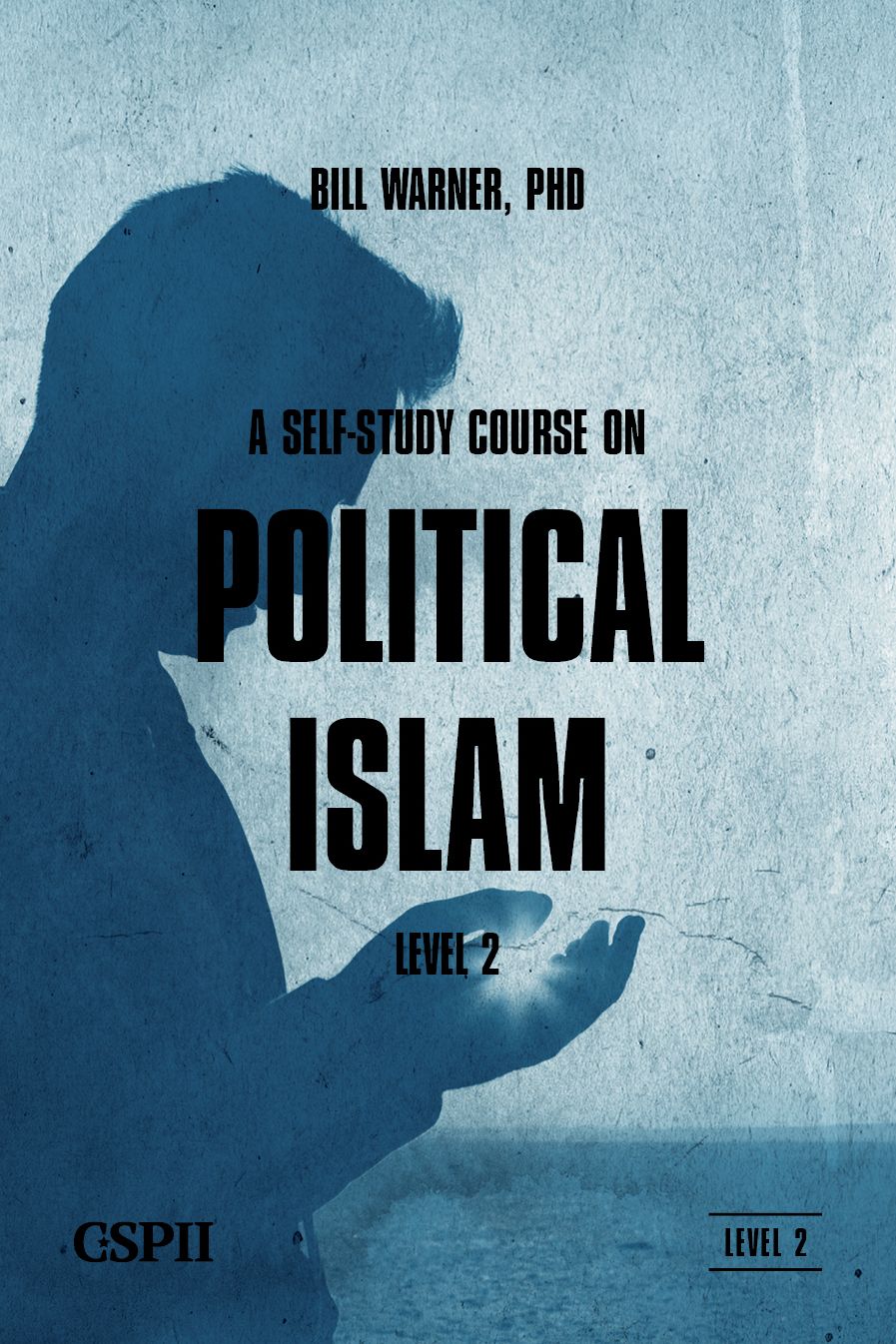 A Self Study Course On Political Islam - Level 2