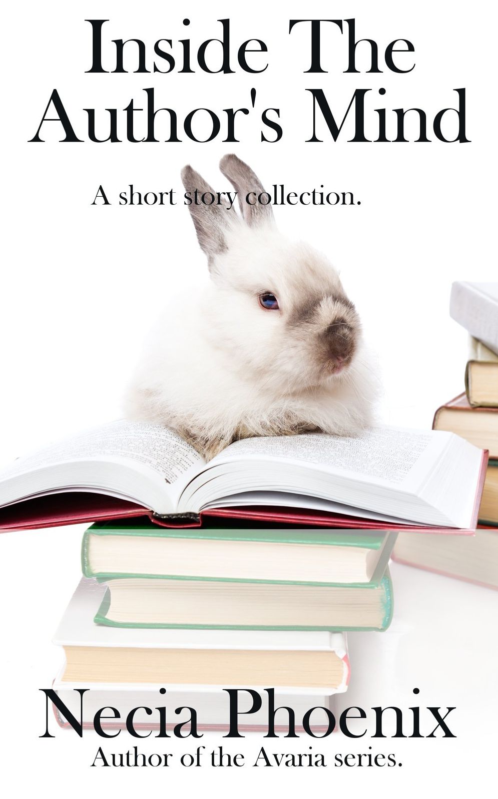 Inside The Author's Mind