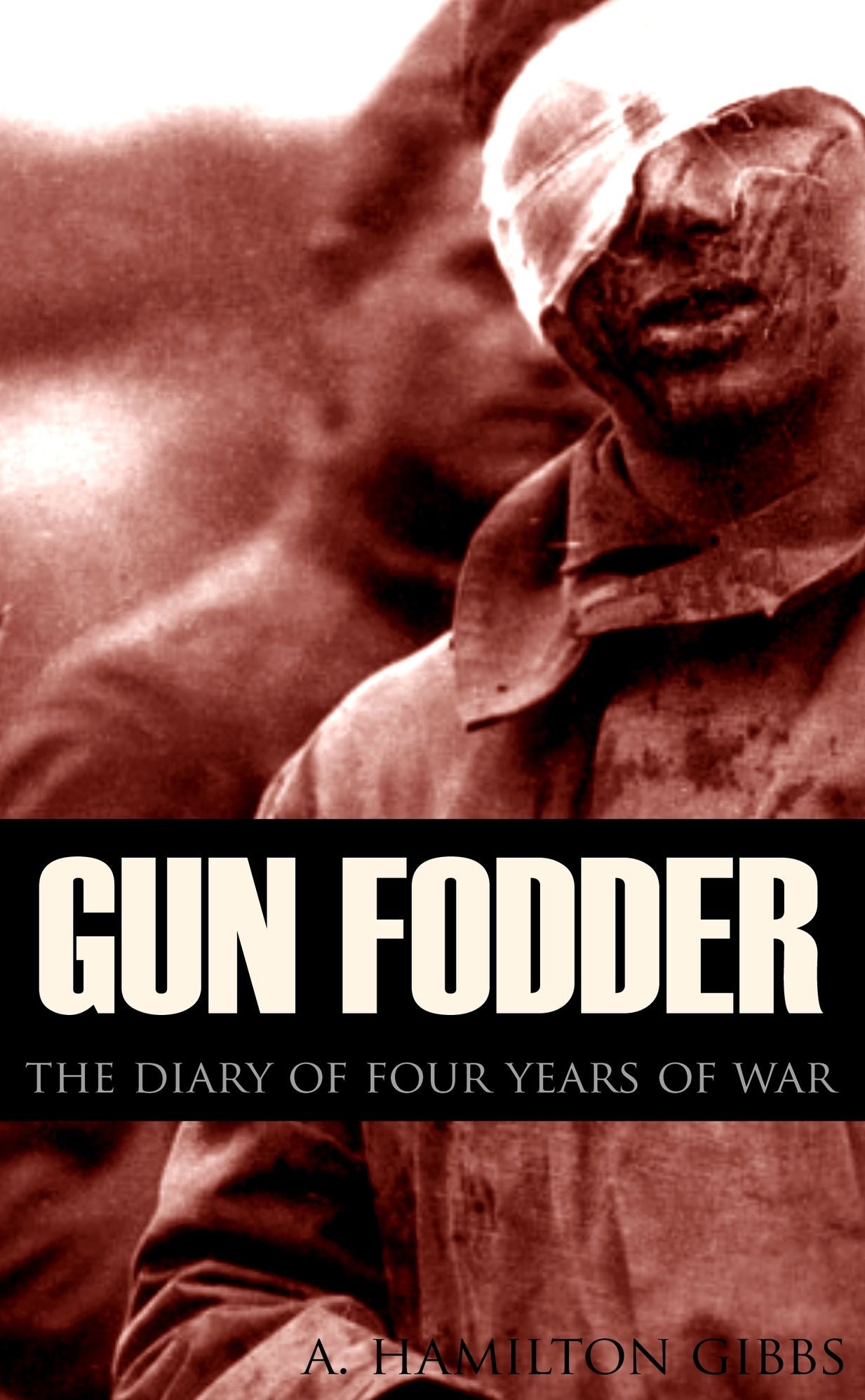 Gun Fodder: The Diary of Four Years of War