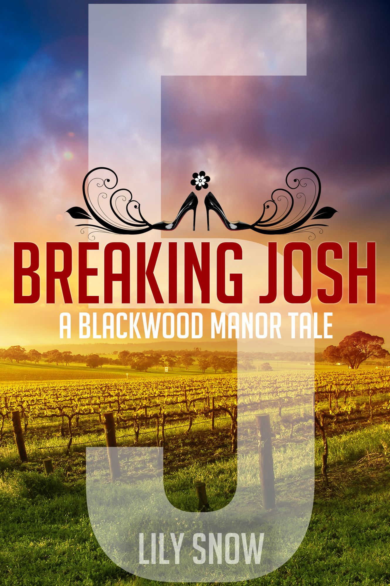 Breaking Josh 5