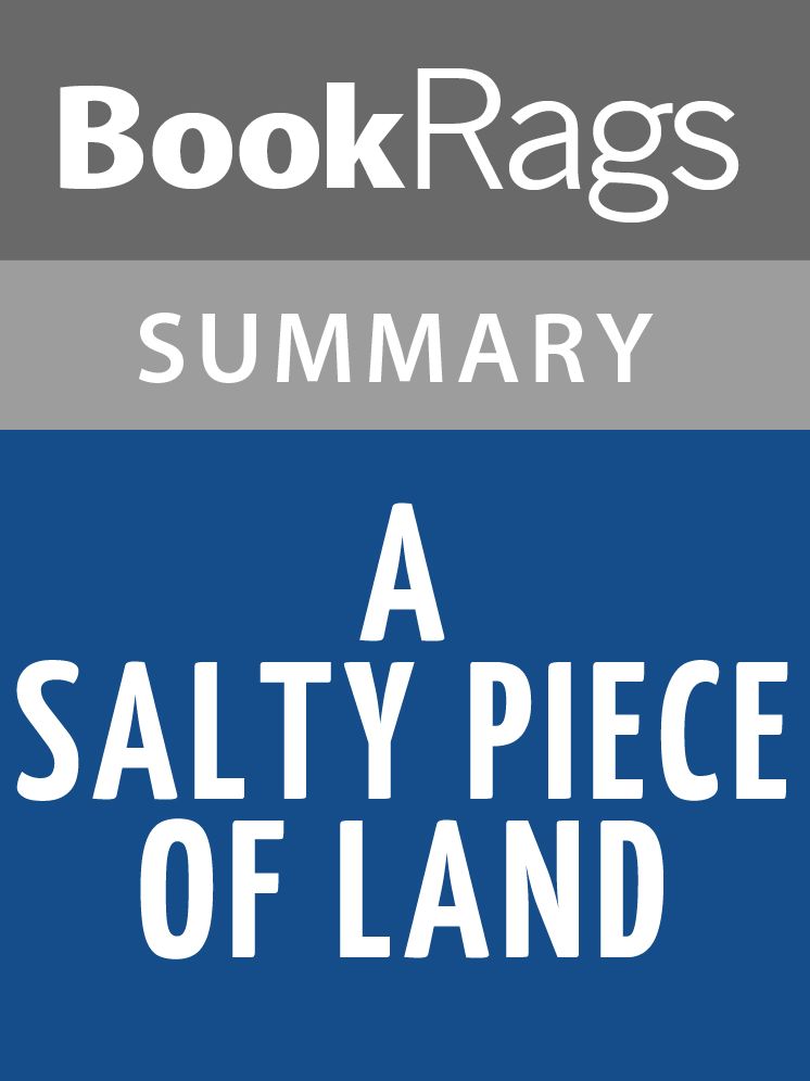 A Salty Piece of Land by Jimmy Buffett Summary & Study Guide