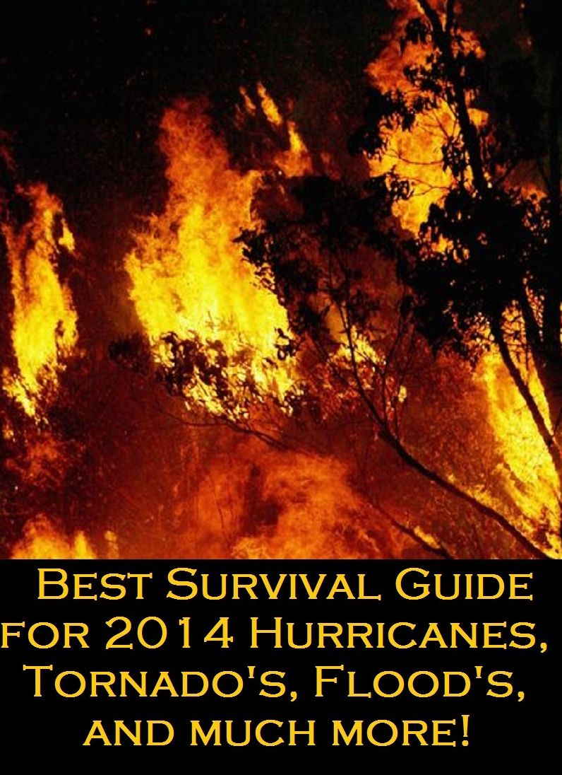 Best Survival Guide for 2014 (Includes Hurricanes, Volcanoââ