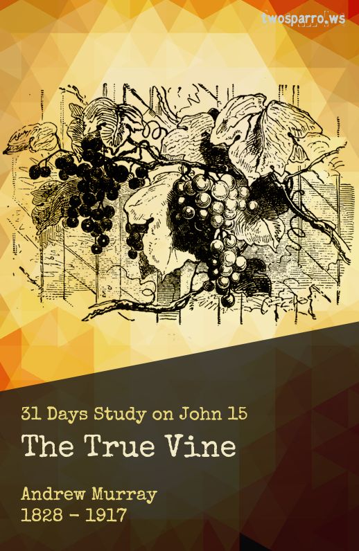 The True Vine